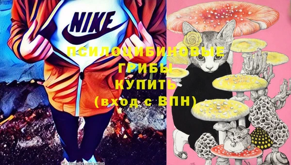 кристаллы Карпинск