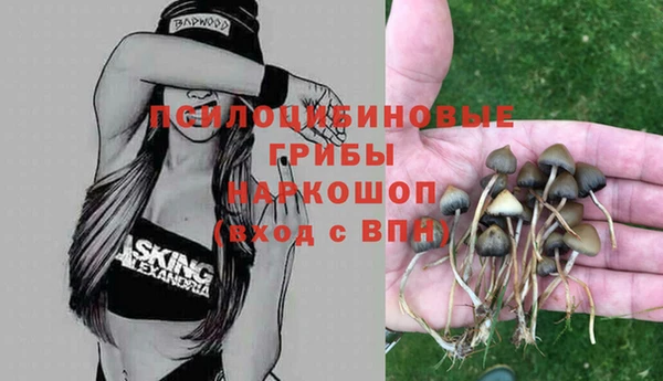 бутират Кинешма