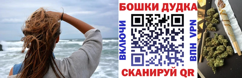 Канабис план  купить наркоту  Ессентуки 
